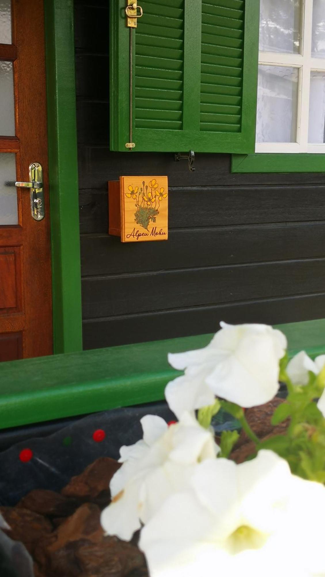 شقة Refugio Alpenblumen أوروبيسي الغرفة الصورة